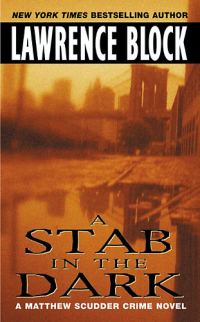 Обложка книги «A Stab in the Dark»