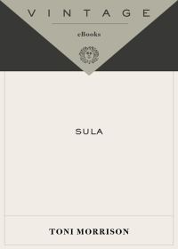 Обложка книги «Sula»