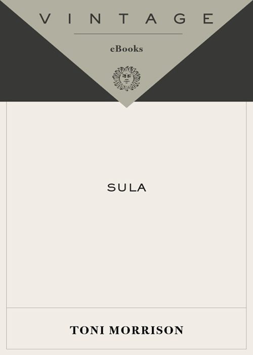 Обложка книги «Sula»