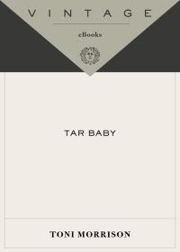 Обложка книги «Tar Baby»