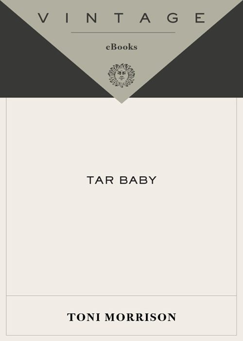 Обложка книги «Tar Baby»