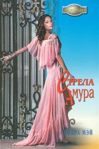 Обложка книги «Стрела амура»