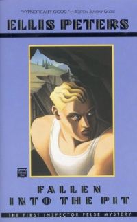 Обложка книги «Fallen Into the Pit»