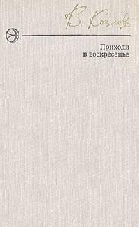 Обложка книги «Приходи в воскресенье»