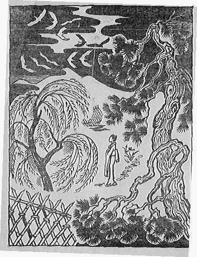 Обложка книги «Ее звали О-Эн»