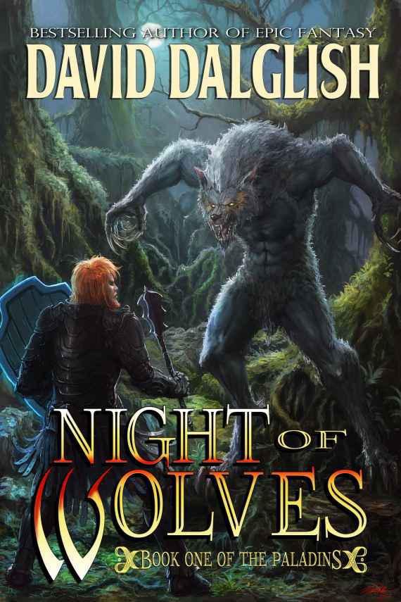 Обложка книги «Night of Wolves»