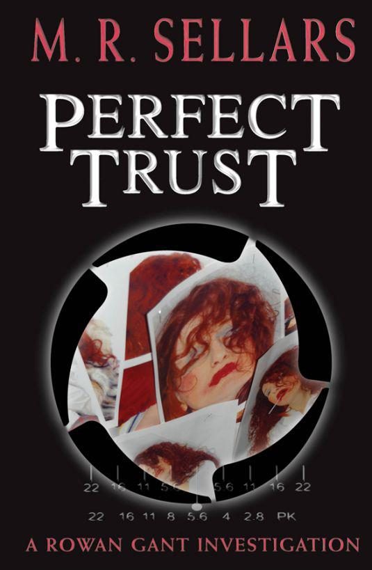 Обложка книги «Perfect Trust»