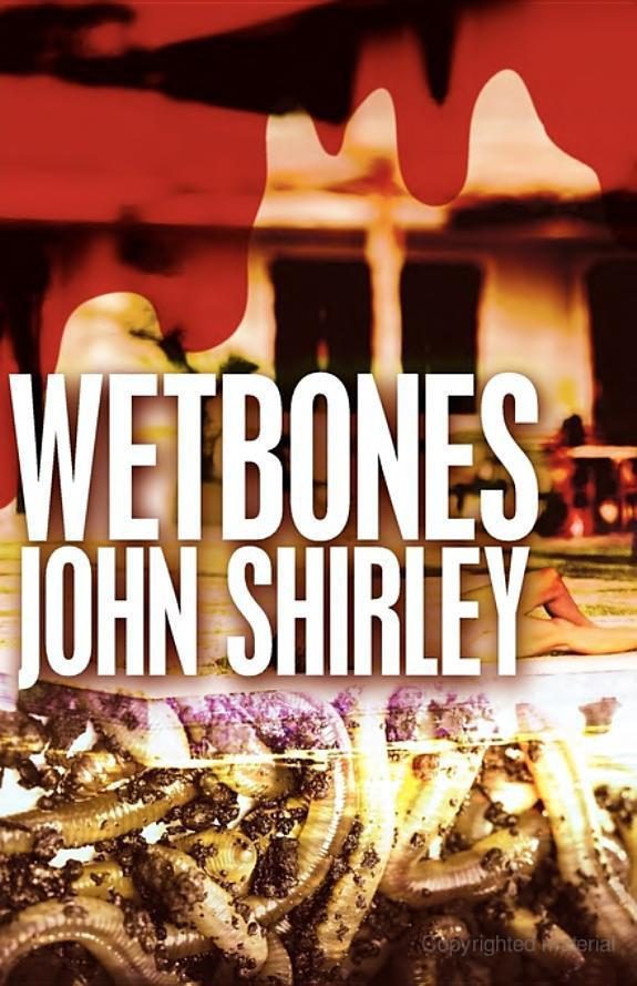 Обложка книги «Wetbones»