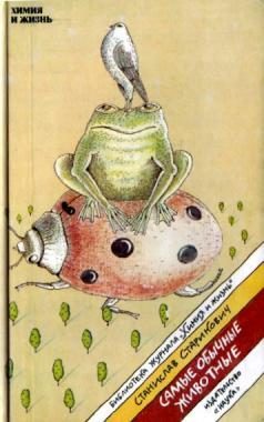 Обложка книги «Самые обычные животные»
