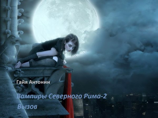 Обложка книги «Вызов»