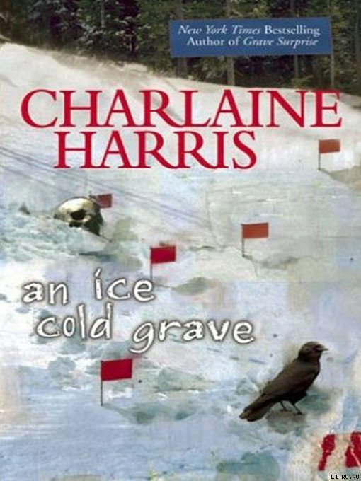Обложка книги «An Ice cold Grave»