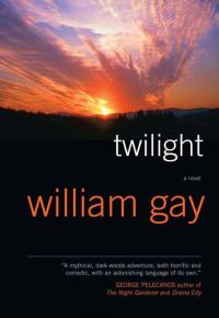 Обложка книги «Twilight»