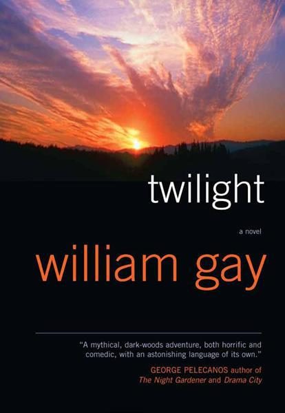 Обложка книги «Twilight»