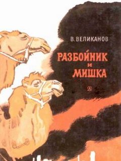 Обложка книги «Разбойник и Мишка»