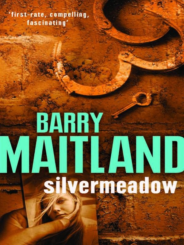 Обложка книги «Silvermeadow»