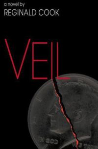 Обложка книги «Veil»