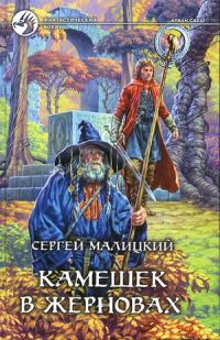 Обложка книги «Камешек в жерновах»