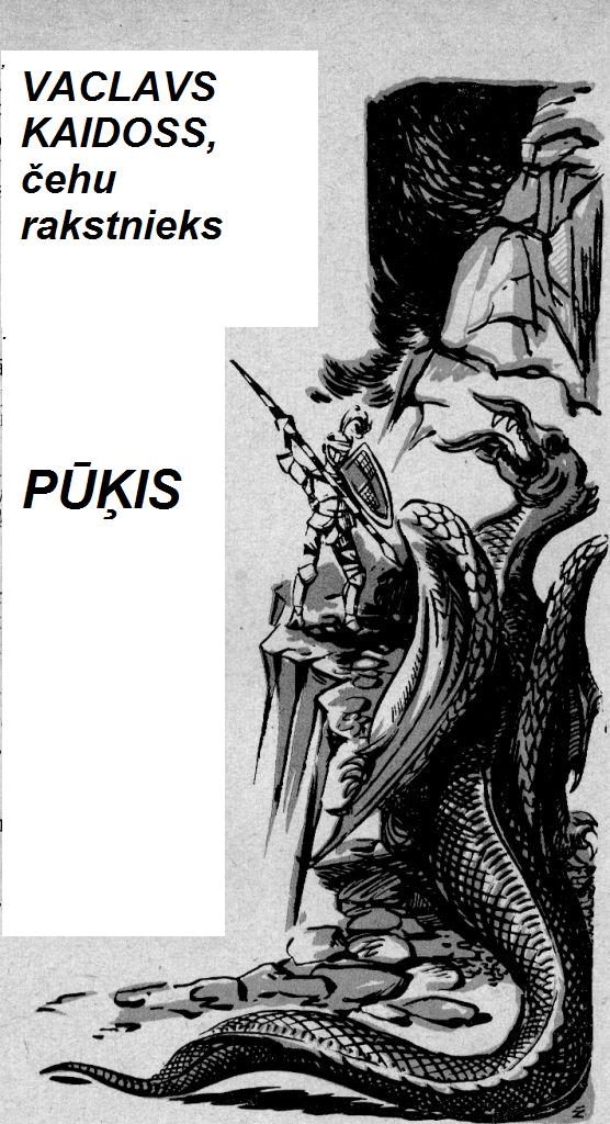 Обложка книги «Pūķis»