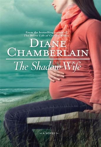 Обложка книги «The Shadow Wife»