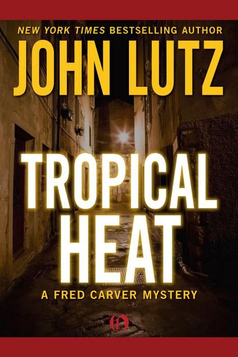 Обложка книги «Tropical Heat»