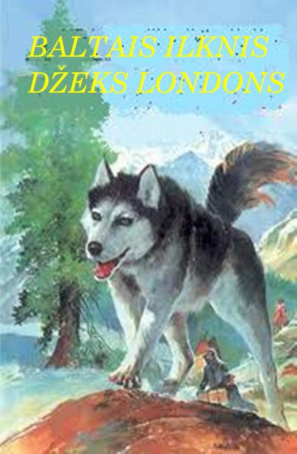 Обложка книги «Baltais Ilknis»