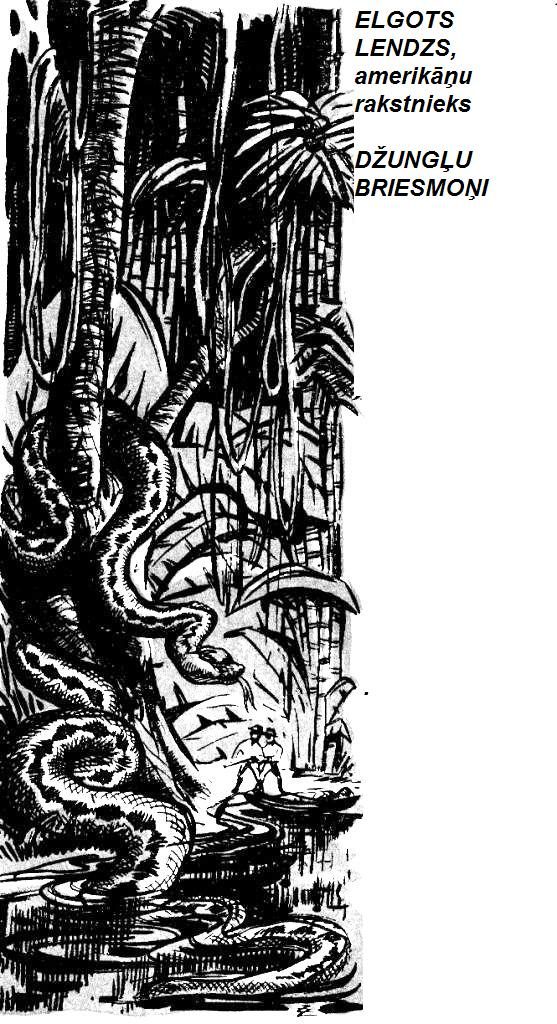 Обложка книги «Džungļu briesmoņi»