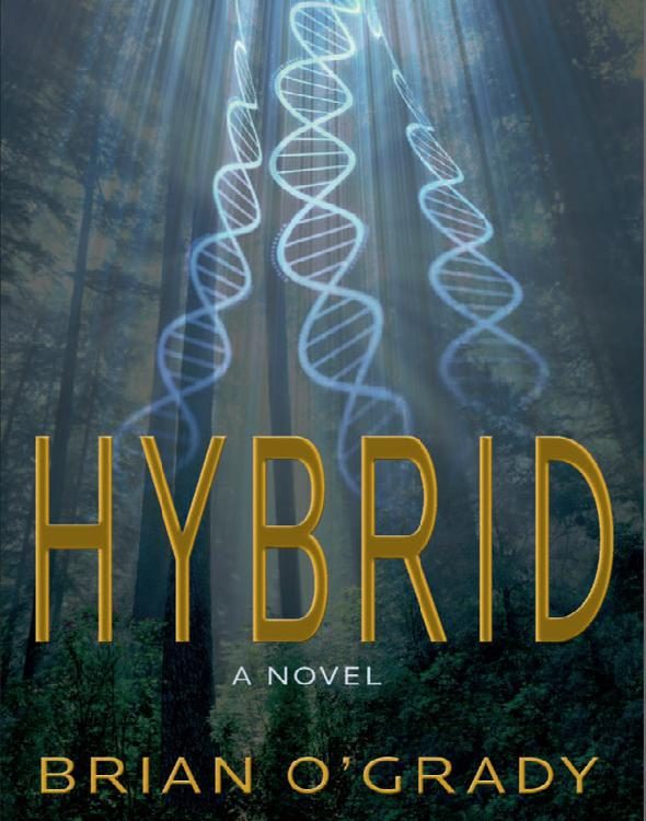 Обложка книги «Hybrid»
