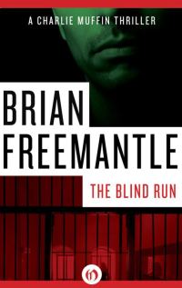 Обложка книги «The Blind Run»