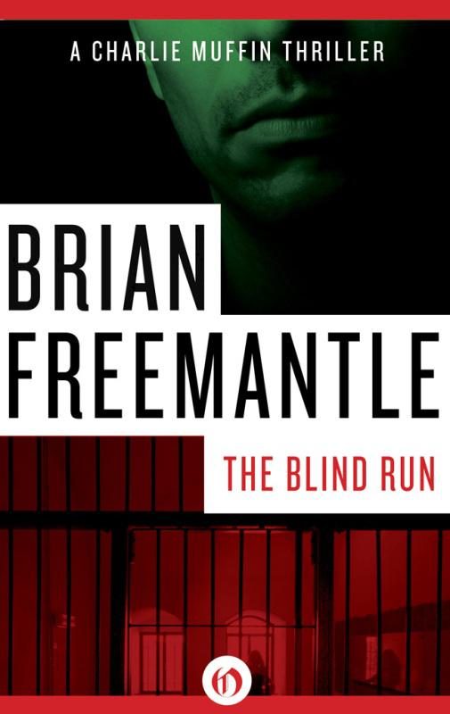 Обложка книги «The Blind Run»