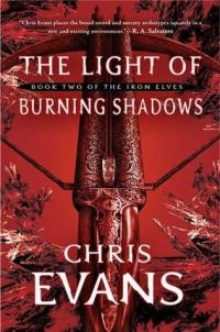 Обложка книги «The Light of Burning Shadows»