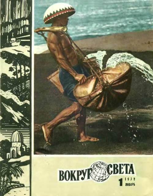 Обложка книги «Скальпель Оккама»
