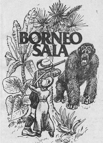 Обложка книги «Borneo sala»