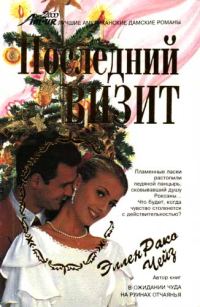 Обложка книги «Последний визит»