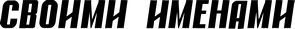 Обложка книги «Газета "Своими Именами" №44 от 01.11.2011»