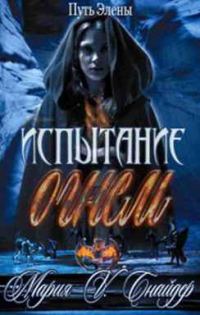Обложка книги «Испытание огнем»