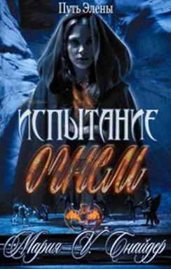 Обложка книги «Испытание огнем»