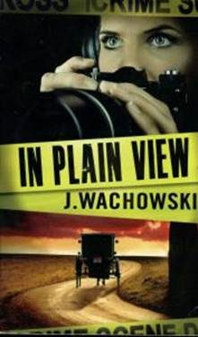 Обложка книги «In Plain View»
