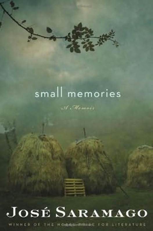Обложка книги «Small Memories»