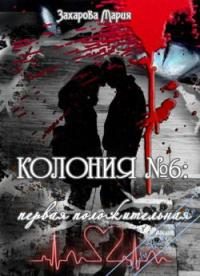 Обложка книги «Колония № 6: первая положительная»