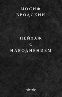 Обложка книги «Пейзаж с наводнением»