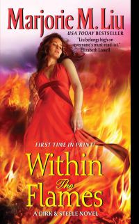 Обложка книги «Within the Flames»