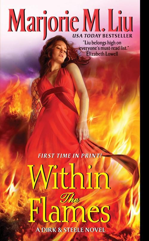 Обложка книги «Within the Flames»