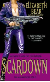 Обложка книги «Scardown»