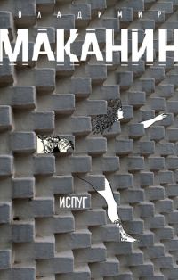 Обложка книги «Испуг»