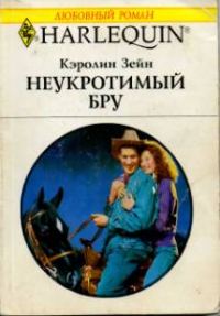 Обложка книги «Неукротимый Бру»