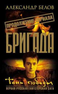 Обложка книги «Тень победы»