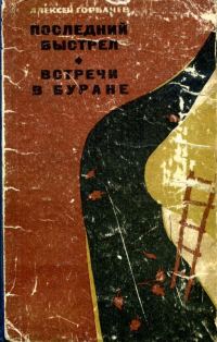 Обложка книги «Последний выстрел. Встречи в Буране»