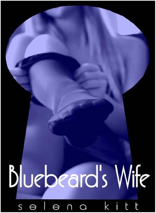 Обложка книги «Bluebeard’s Wife»
