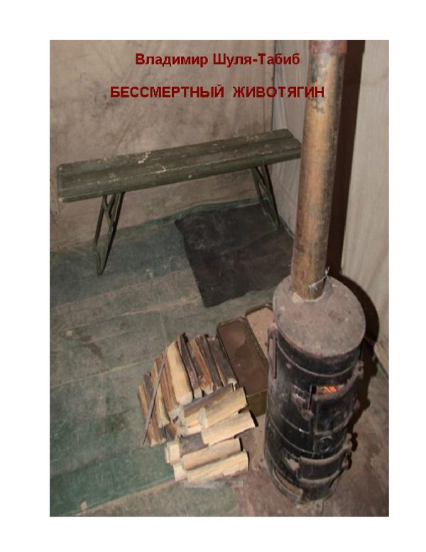 Обложка книги «Бессмертный Животягин»