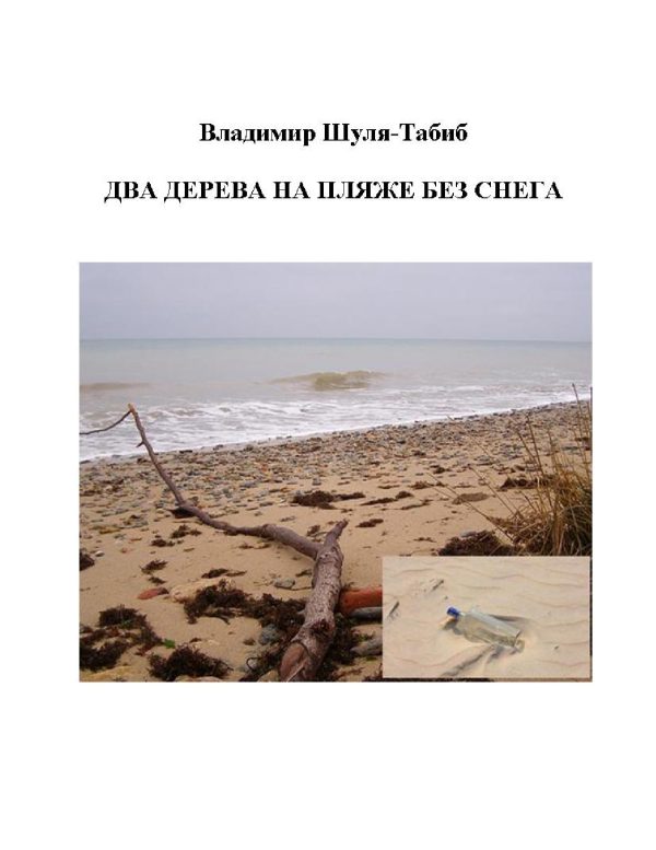Обложка книги «Два дерева на пляже без снега»